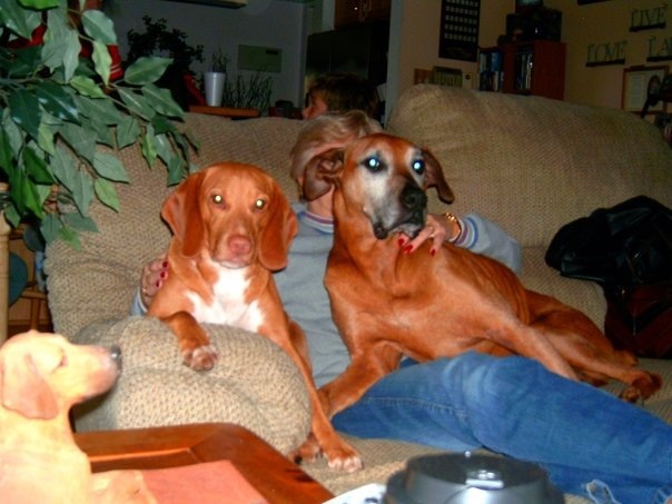 Sulley, Duke and Grandma