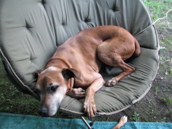 Relaxing at the campsite.