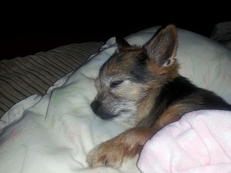 Sleepy time