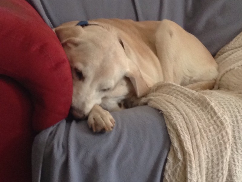 Naptime!!!