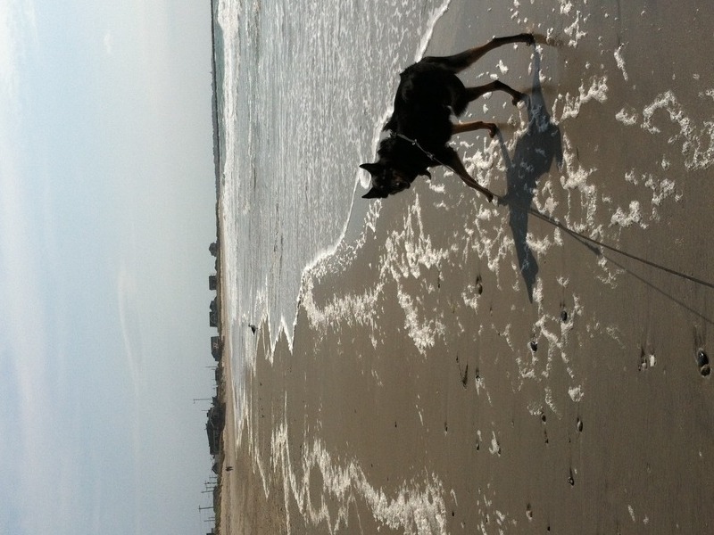 First time at the beach