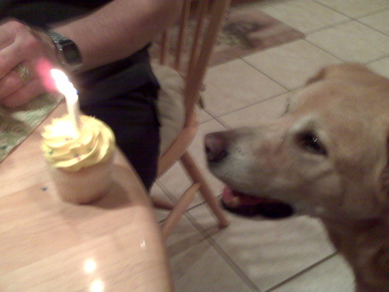 Murphy's 11th birthday