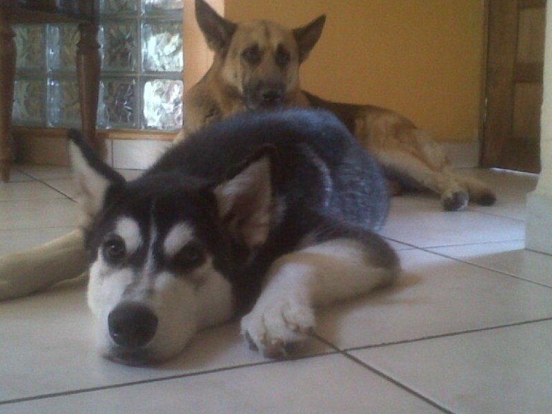 With my big brother Gandalf