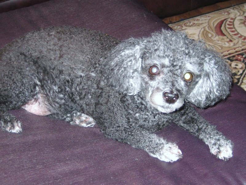 In her latter years, Blind but still a blessing to us
