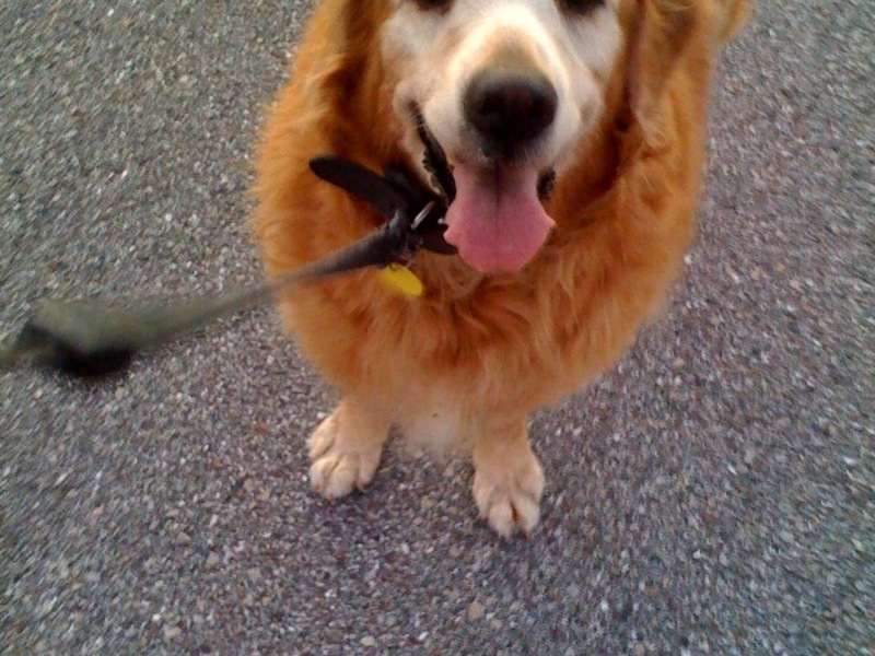 Jewel and her perfect smile!