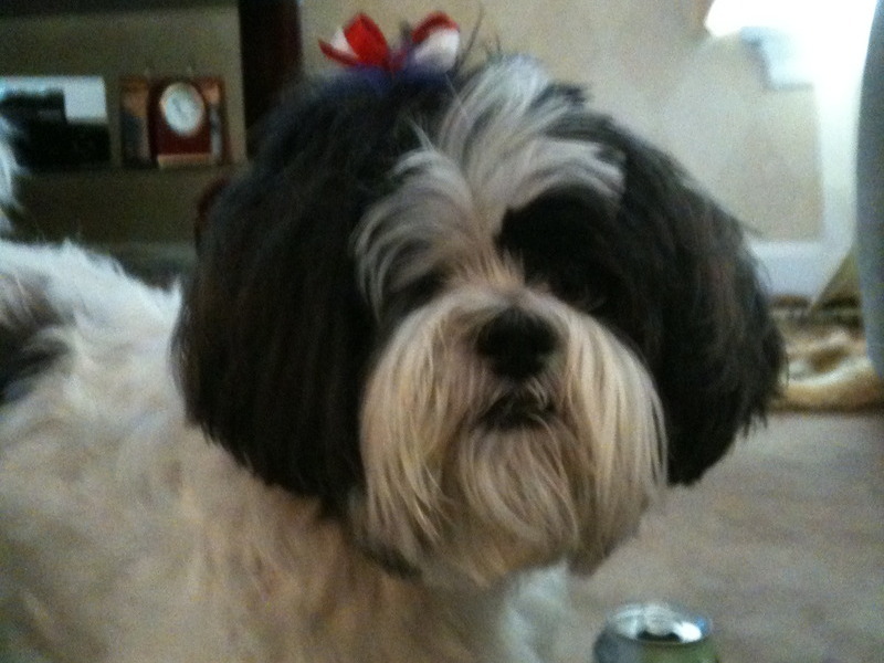 my casey boy