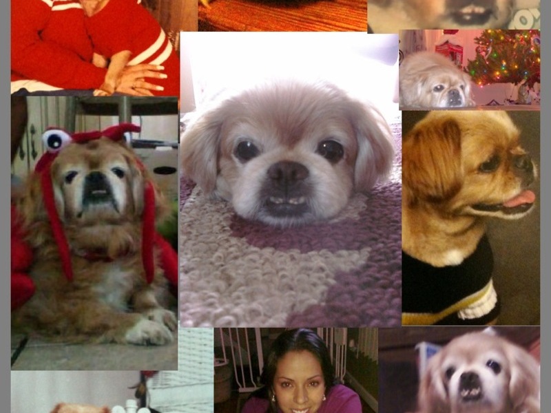 All about me