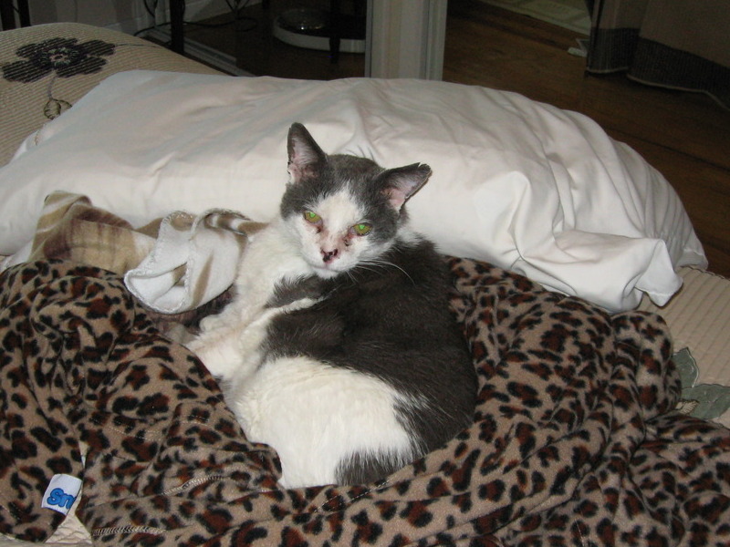 Mr. Friendly....he knew how to relax