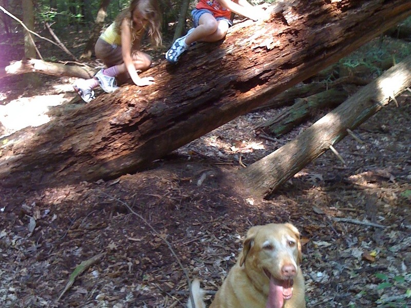 hanging out in the woods, one of her favorite activities!