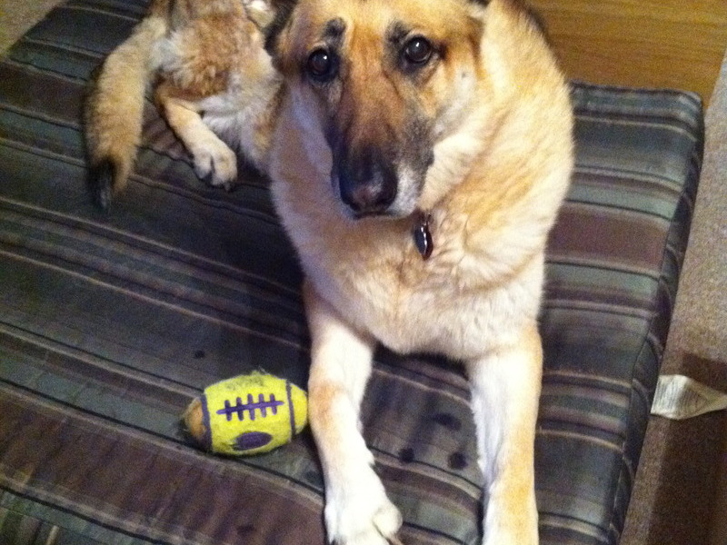 Even to bed she took her favorite toy