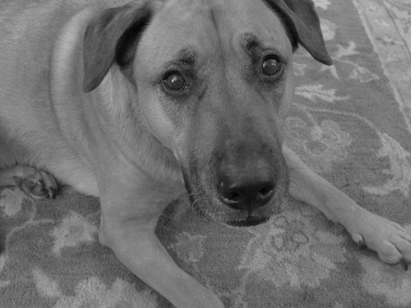 We love you Gunther