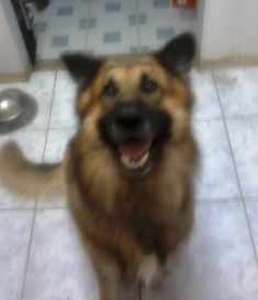 Just Full of Smiles
