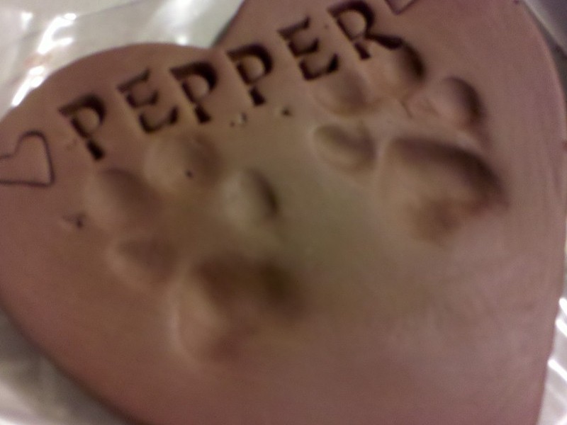 her paw prints. I will so cherish this!