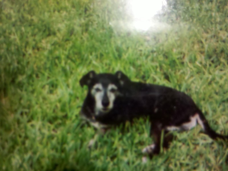 Sun bathing, she so loved it before her disease