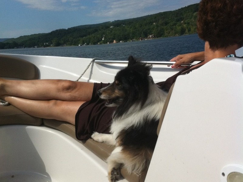 Jazz enjoying the Lake