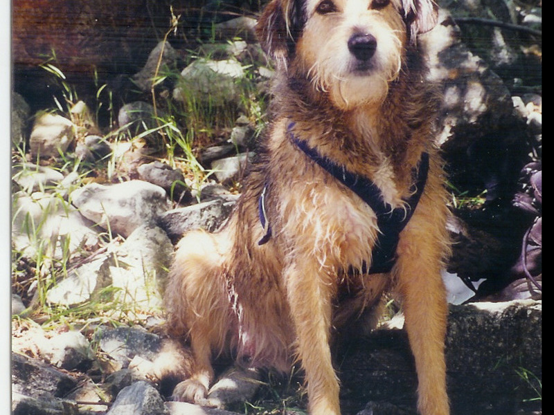 Johni, after swimming in the river