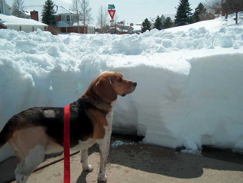 Lots of snow