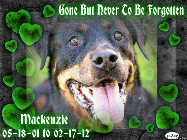 Kenzie - Gone but Never Forgotten