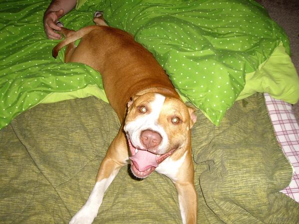 my baby axle smiling