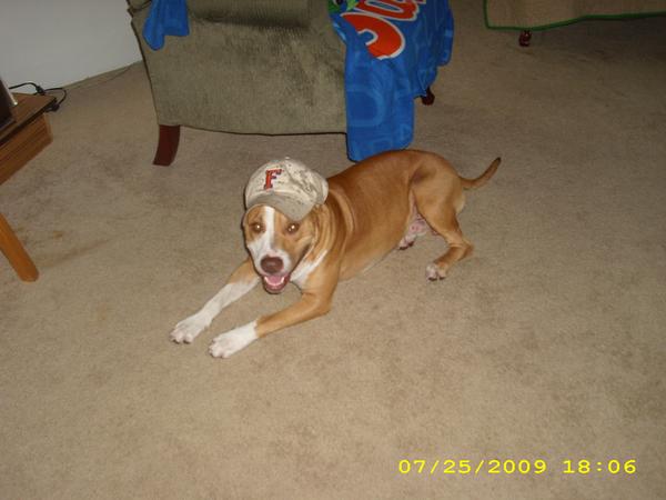 He is a gator fan