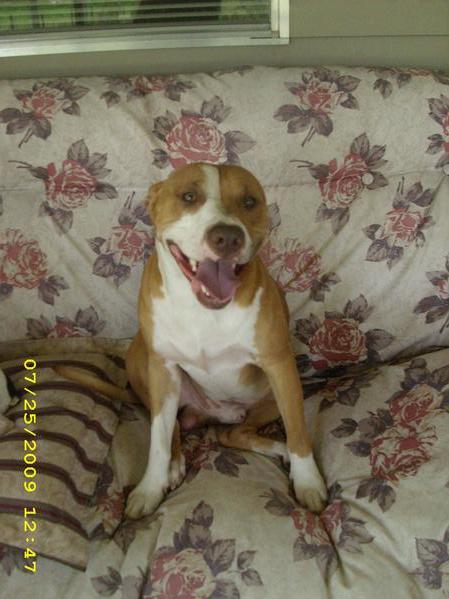 Axle