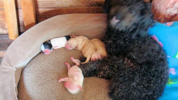 her mommy and them the day after they were born...