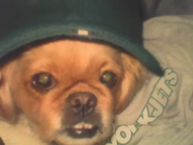 Love the JETS !!!