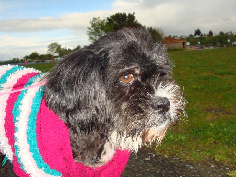 Lucy - Everett Marina