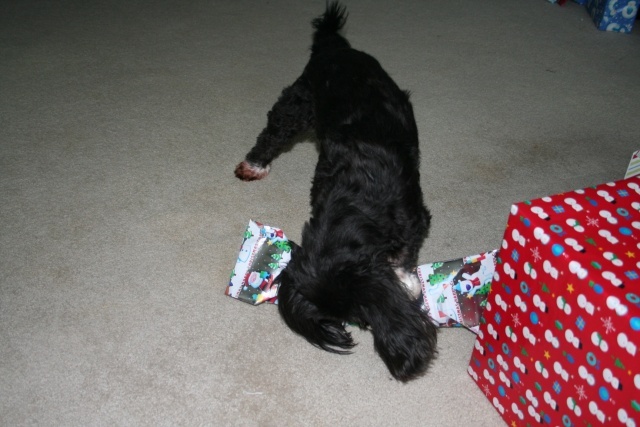 Lucy opening Christmas Present