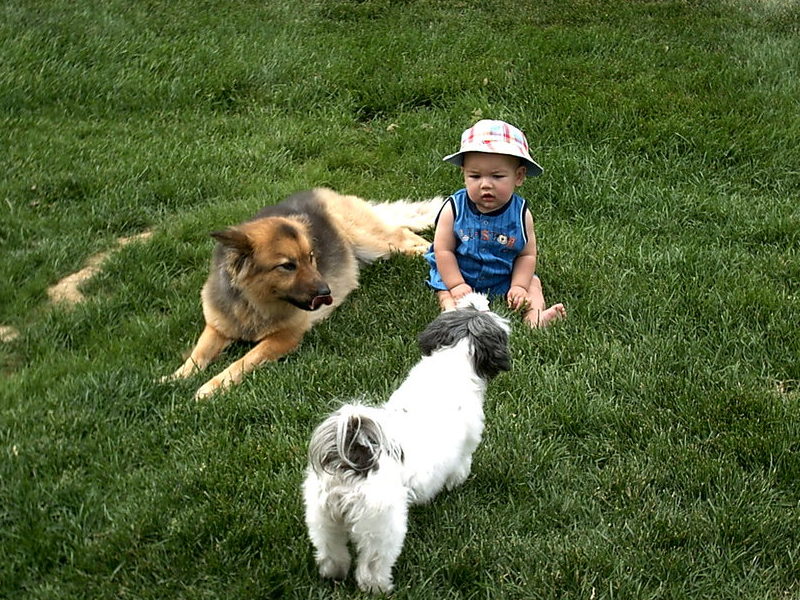 Tank with friends...