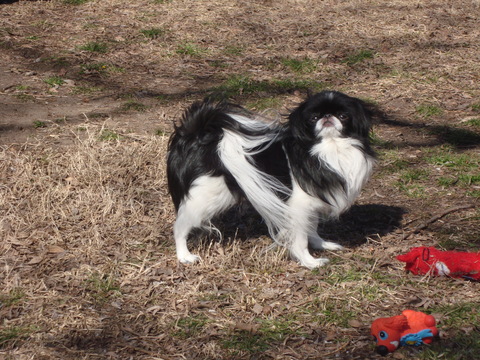 Blowing in the wind