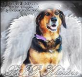 RIP Sweet Angel Baby Boy