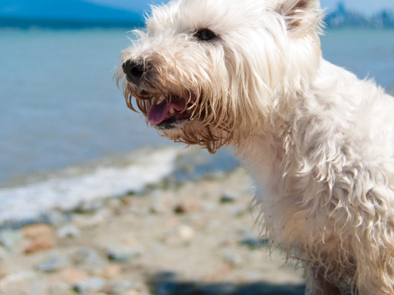 She loved the water!