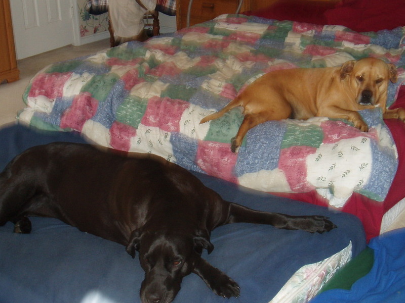 on her twin mattress at the foot of our bed