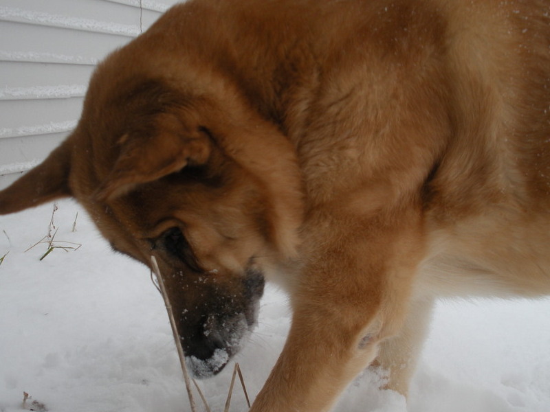 She loved the snow also