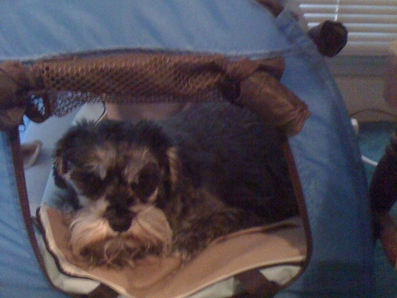 My sweet baby boy
