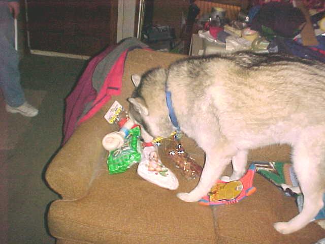 Ivan and a Christmas 'haul'