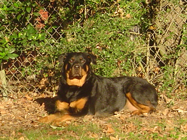 Relaxing in the Sun