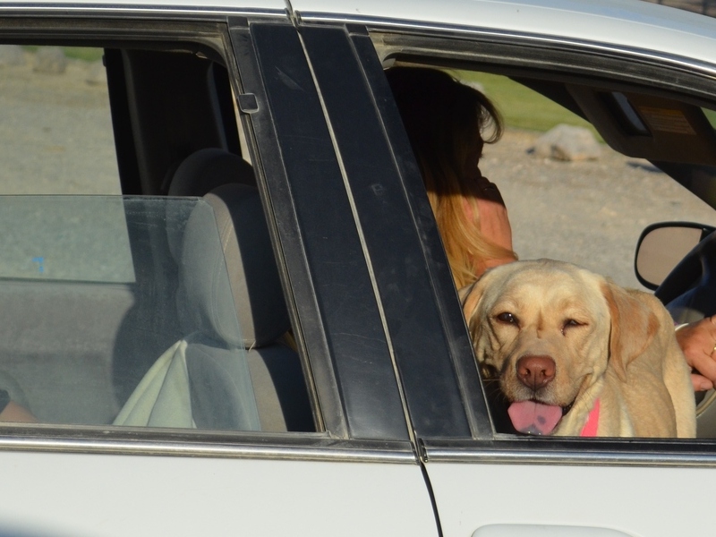 going for her ride