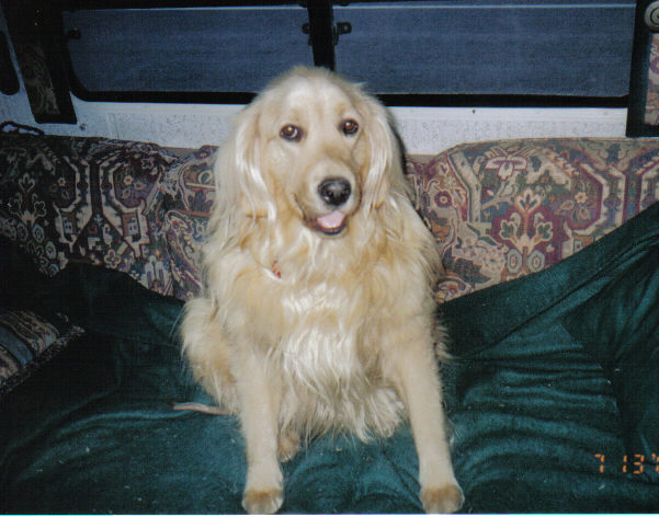 photo caption