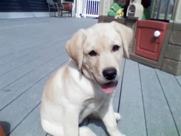 on Nana's deck