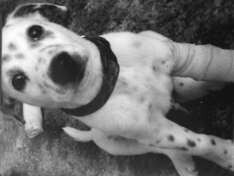 With his little cast on his leg