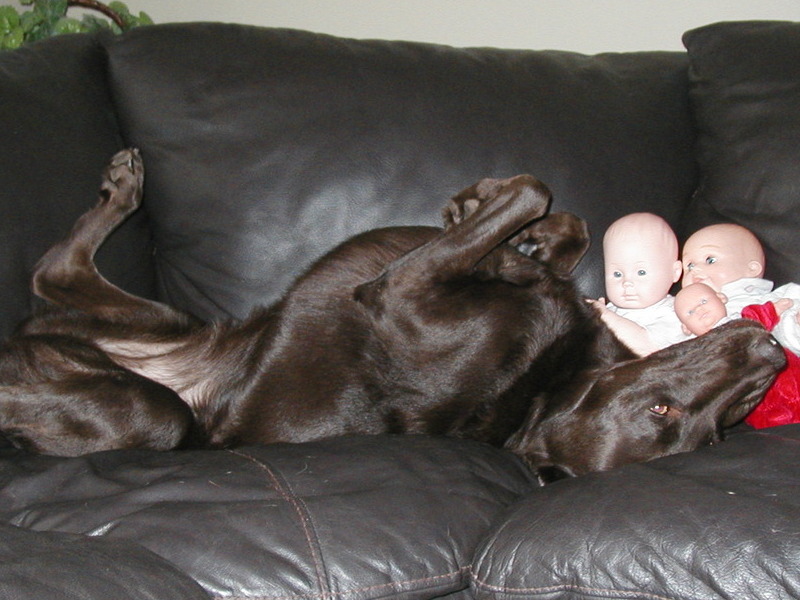 Relaxing after a hard day of laying around