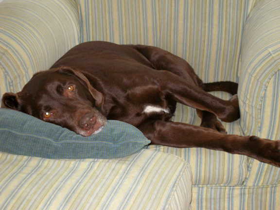 his favorite chair