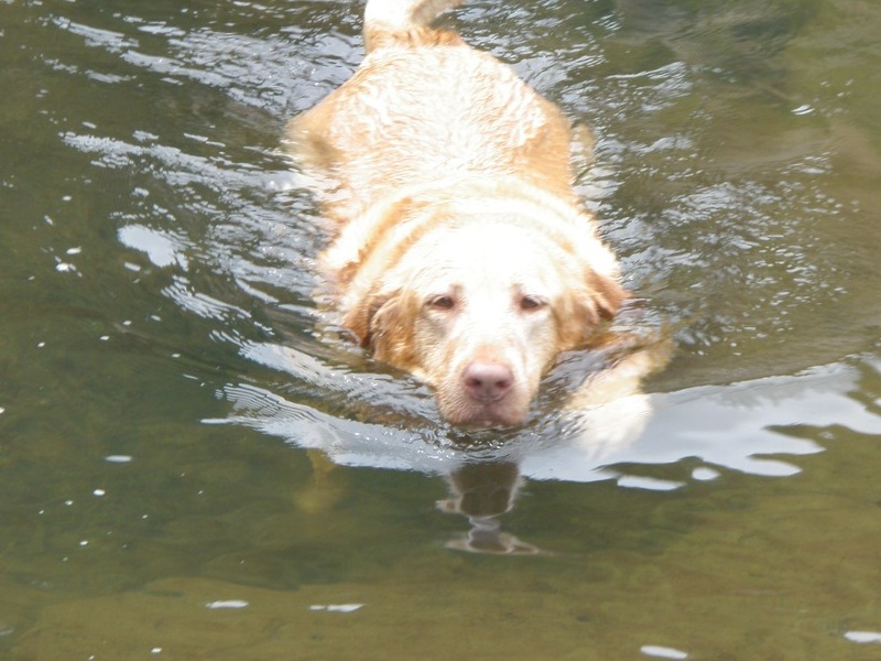 she loved to swim!