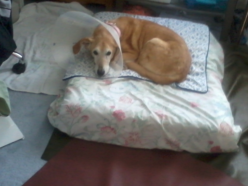 Her last day, last few hours