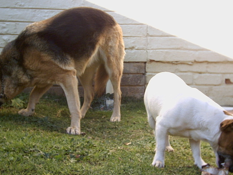 J.C and his 'sister', Cleo