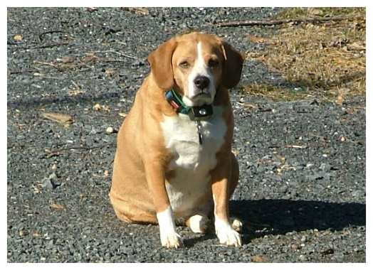 Blocking the driveway so I would stay home with him.