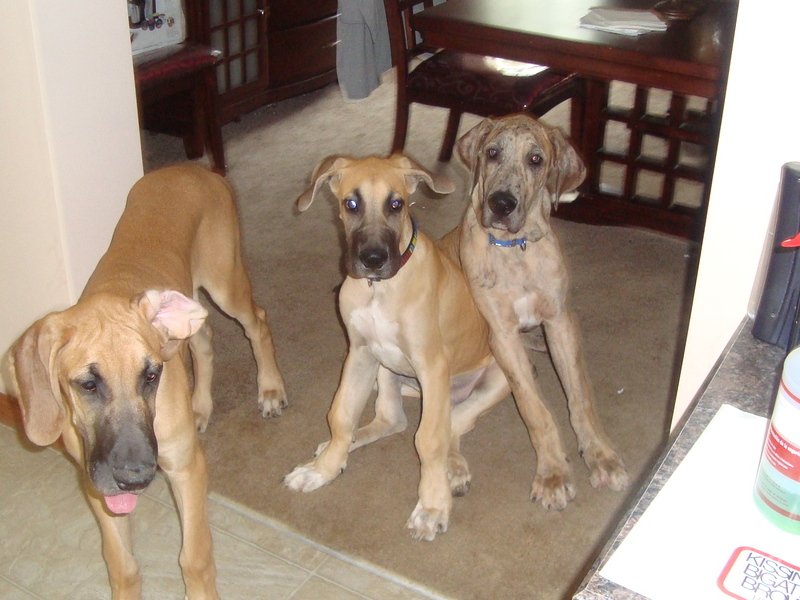 Gunther and his brothers Gil and Frank