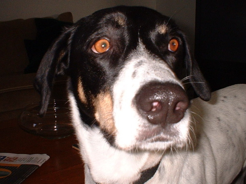 you talkin to me.